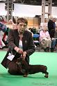 Crufts2011_2 1562